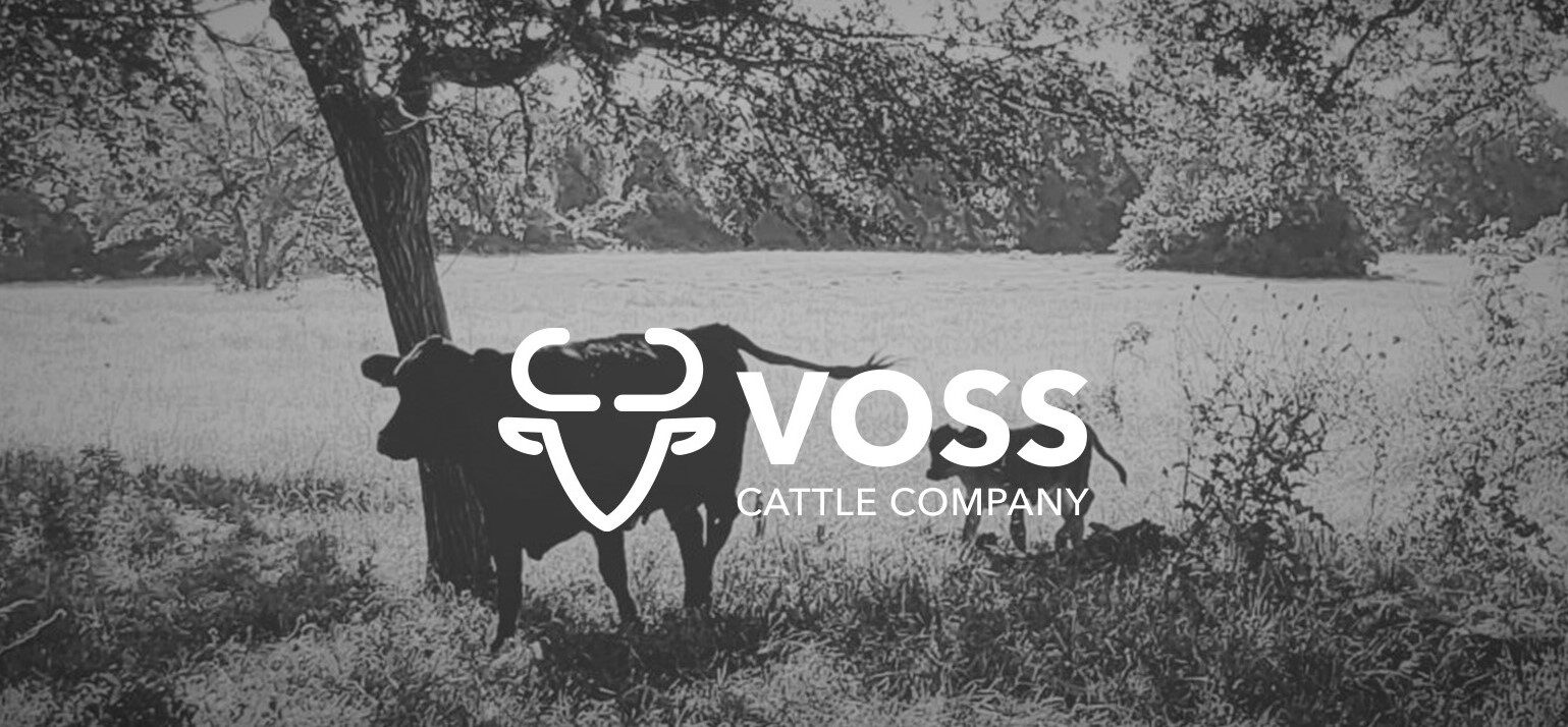 Voss Cattle Company - Premium Brangus Beef