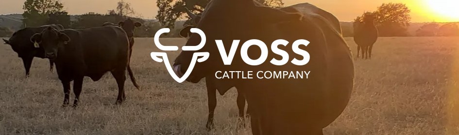Voss Cattle Company - Premium Brangus Beef